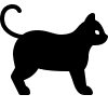  cat-icon